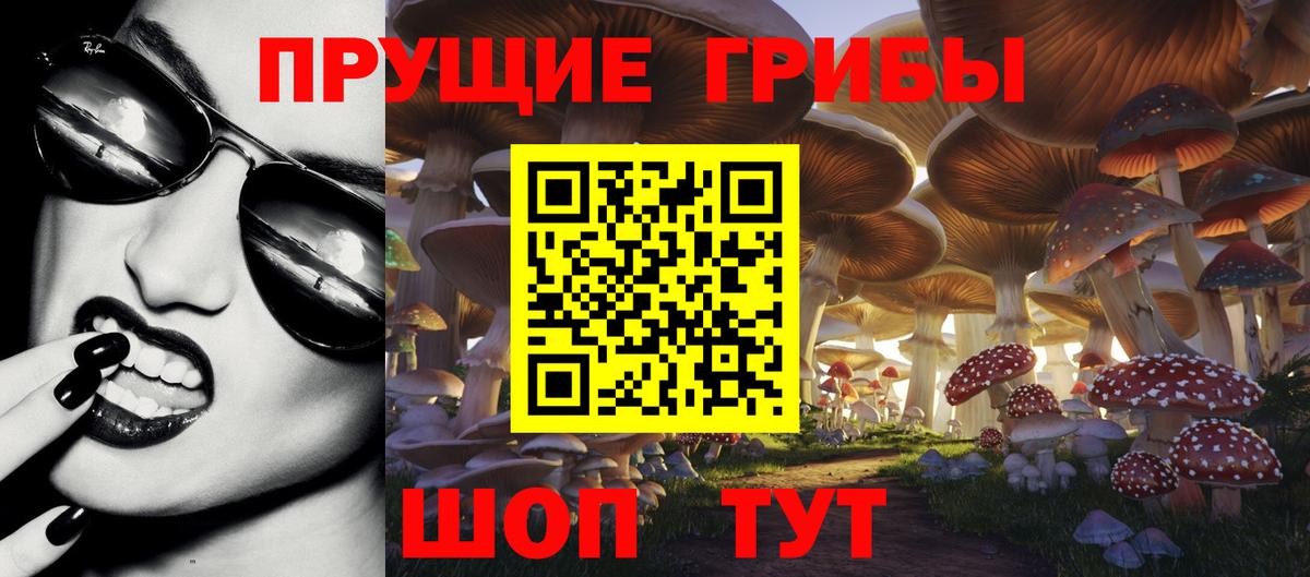 Псилоцибиновые грибы GOLDEN TEACHER Коломна